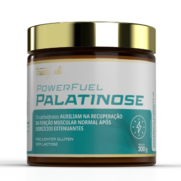 POWERFUEL PALATINOSE - 300G